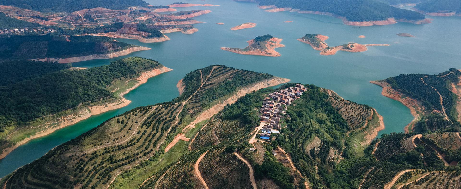 SG胜游广西百色坚果原料种植基地